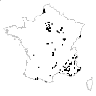 Tragopogon dubius Scop. - carte des observations