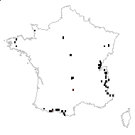 Scirpus cespitosus L. - carte des observations