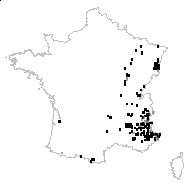 Trifolium alpestre L. - carte des observations