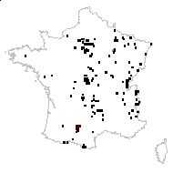 Trifolium hybridum L. - carte des observations