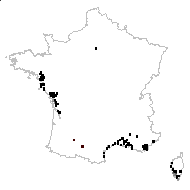 Trifolium resupinatum L. - carte des observations