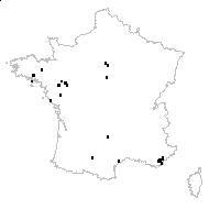 Trifolium subterraneum L. subsp. subterraneum - carte des observations