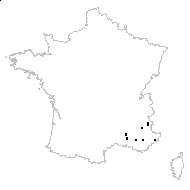 Typha minima Funck - carte des observations