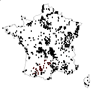Vicia leucosperma Moench - carte des observations