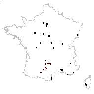 Vicia villosa proles godronii Rouy - carte des observations