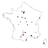 Vicia reuteriana Boiss. & Buhse - carte des observations