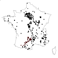 Viola pallescens Jord. - carte des observations