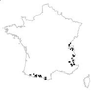 Arabis subnitens Jord. - carte des observations