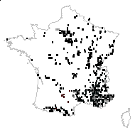 Arabis collisparsa Jord. - carte des observations