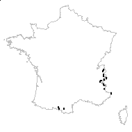 Arabis soyeri subsp. subcoriacea (Gren.) Breistr. - carte des observations