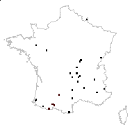 Barbarea intermedia proles gautieri Rouy & Foucaud - carte des observations