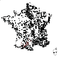 Caucalis carota (L.) Huds. - carte des observations