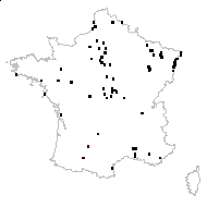 Zannichellia palustris L. - carte des observations