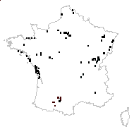 Sinapis tetraedra C.Presl - carte des observations