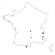 Camelina microcarpa subsp. sylvestris (Wallr.) Hiitonen - carte des observations