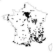 Capsella bursa-pastoris (L.) Medik. subsp. bursa-pastoris - carte des observations