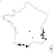 Cardamine resedifolia L. - carte des observations