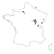 Arabidopsis arenosa subsp. borbasii (Zapal.) O'Kane & Al-Shehbaz - carte des observations