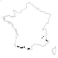 Coincya monensis subsp. montana (DC.) B.Bock - carte des observations