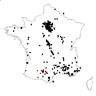 Draba verna var. cabillonensis (Jord.) Rouy & Foucaud - carte des observations