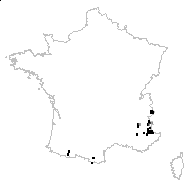 Erysimum jugicola Jord. - carte des observations