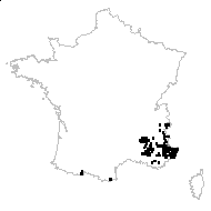 Erysimum australe sensu H.J.Coste - carte des observations