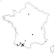 Hesperis inodora [var.] nivea Baumg. - carte des observations