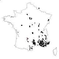 Thlaspi pinnatum Beck - carte des observations