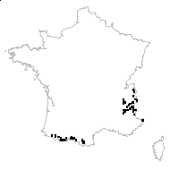 Lepidium halleri Crantz - carte des observations