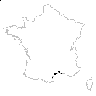 Malcolmia littorea (L.) R.Br. - carte des observations