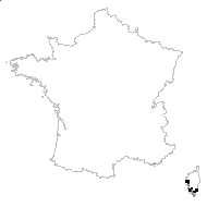 Matthiola tricuspidata (L.) R.Br. - carte des observations