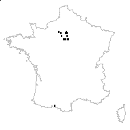 Raphanus monnetii H.Lév. - carte des observations