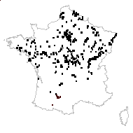 Myagrum aquaticum Lam. - carte des observations