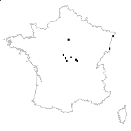 Rorippa austriaca (Crantz) Besser - carte des observations