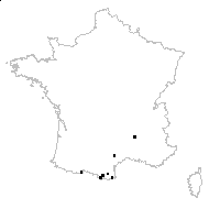 Rorippa pyrenaica var. hispanica (Boiss. & Reut.) Gaudin - carte des observations