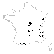 Noccaea brachypetala (Jord.) F.K.Mey. - carte des observations