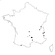 Thlaspi alpestre subsp. vogesiacum (Jord.) Berher - carte des observations