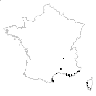 Opuntia ficus-indica (L.) Mill. - carte des observations