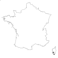 Opuntia lemaireana Console - carte des observations