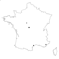 Callitriche brutia écoph. annuel terrestre  - carte des observations