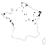 Callitriche obtusangula Le Gall - carte des observations
