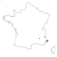 Campanula bononiensis L. - carte des observations