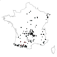 Campanula patula L. - carte des observations