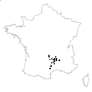 Sphondylium conforme Moench - carte des observations