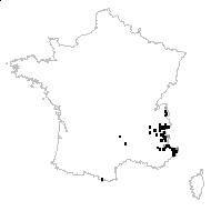 Phyteuma michelii All. - carte des observations