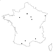 Cannabis macrosperma Stokes - carte des observations