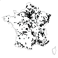 Lupulus humulus Mill. - carte des observations