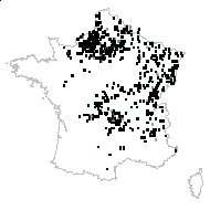 Moschatellina adoxa All. - carte des observations