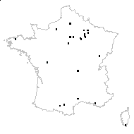 Lonicera caprifolium L. - carte des observations