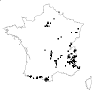 Sambucus racemosa L. subsp. racemosa - carte des observations